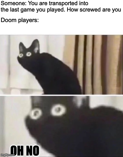 Oh No Black Cat | Someone: You are transported into the last game you played. How screwed are you; Doom players:; OH NO | image tagged in oh no black cat | made w/ Imgflip meme maker