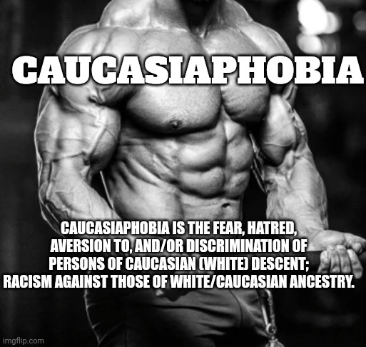 racism memes | CAUCASIAPHOBIA; CAUCASIAPHOBIA IS THE FEAR, HATRED, AVERSION TO, AND/OR DISCRIMINATION OF PERSONS OF CAUCASIAN (WHITE) DESCENT; RACISM AGAINST THOSE OF WHITE/CAUCASIAN ANCESTRY. | image tagged in racism | made w/ Imgflip meme maker