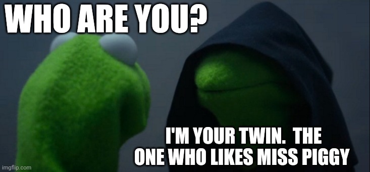 Evil Kermit | WHO ARE YOU? I'M YOUR TWIN.  THE ONE WHO LIKES MISS PIGGY | image tagged in memes,evil kermit | made w/ Imgflip meme maker