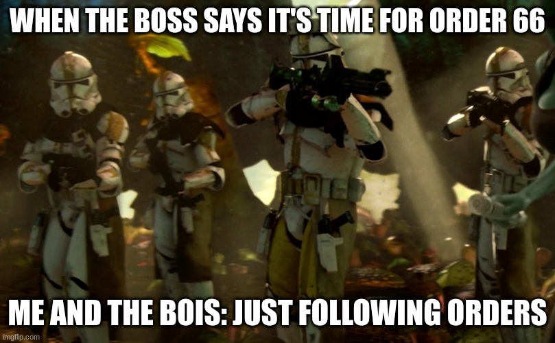 order 66 | WHEN THE BOSS SAYS IT'S TIME FOR ORDER 66; ME AND THE BOIS: JUST FOLLOWING ORDERS | image tagged in order 66 | made w/ Imgflip meme maker