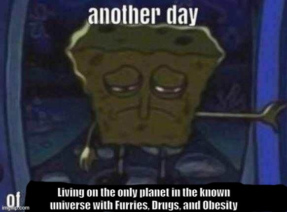 another day | Living on the only planet in the known universe with Furries, Drugs, and Obesity | image tagged in spunch bob,another day,shitpost | made w/ Imgflip meme maker