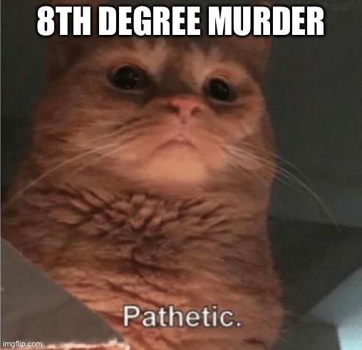 Pathetic Cat | 8TH DEGREE MURDER | image tagged in pathetic cat | made w/ Imgflip meme maker