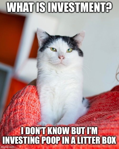 Robert the cat | WHAT IS INVESTMENT? I DON'T KNOW BUT I'M INVESTING POOP IN A LITTER BOX | image tagged in business cat | made w/ Imgflip meme maker