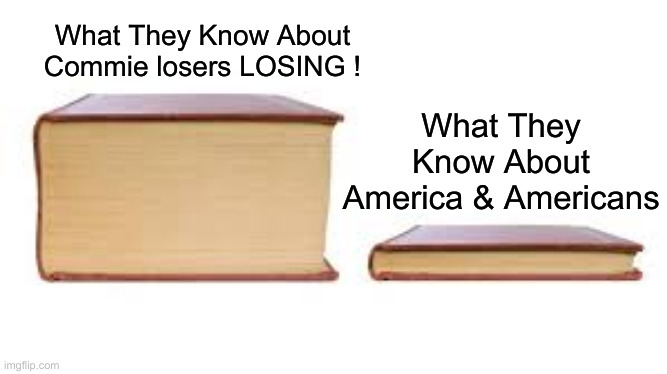 DEMOCRATS | What They Know About Commie losers LOSING ! What They Know About America & Americans | image tagged in big book small book,political meme,politics,funny memes,funny | made w/ Imgflip meme maker