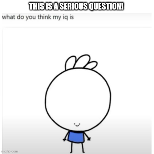 Thanks, Ice Cream Sandwich for always making da funni :) | THIS IS A SERIOUS QUESTION! | image tagged in serious,question,alert | made w/ Imgflip meme maker