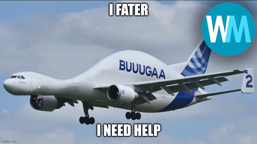 I PLANE | I FATER; I NEED HELP | image tagged in airplane,weird | made w/ Imgflip meme maker