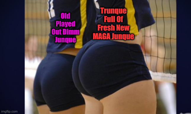 Comparison Booty | Old Played Out Dimm Junque Trunque Full Of Fresh New MAGA Junque | image tagged in comparison booty | made w/ Imgflip meme maker