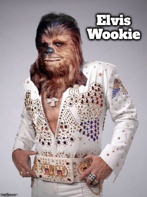 Chew baca Elvis Presley   | Elvis Wookie | image tagged in chew baca elvis presley | made w/ Imgflip meme maker