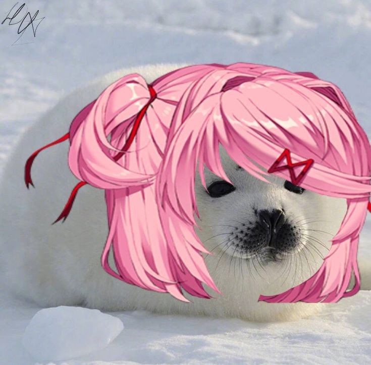 Seal natsuki Blank Meme Template