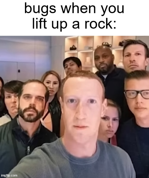 bugs when you lift up a rock: | made w/ Imgflip meme maker