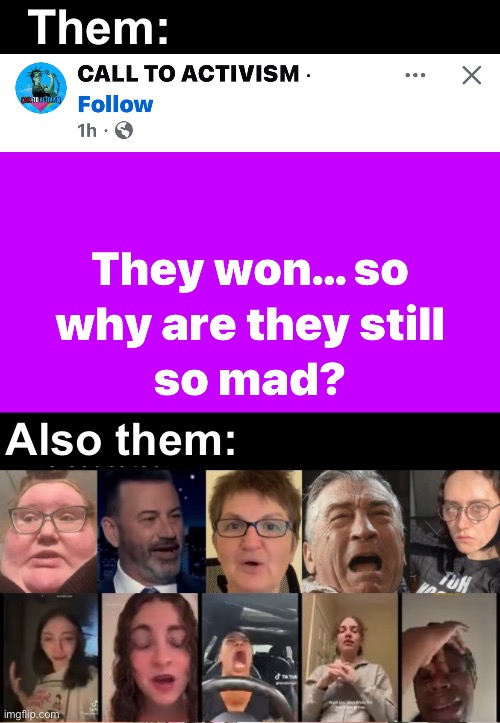 Projection | Them:; Also them: | image tagged in politics lol,memes,derp | made w/ Imgflip meme maker