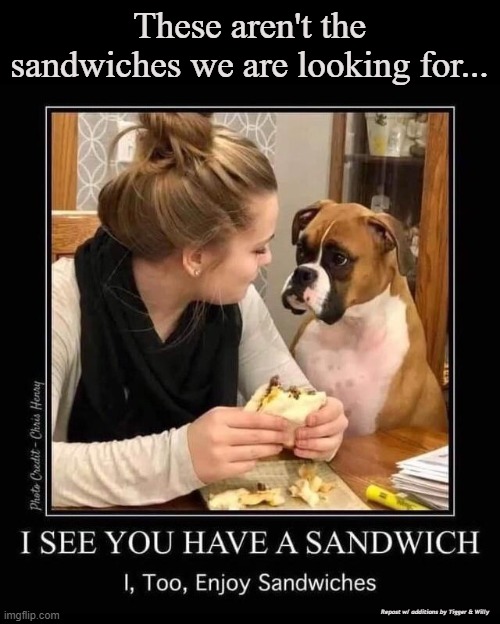 Obi-Wan  gets a Hero sandwich. | These aren't the sandwiches we are looking for... Repost w/ additions by Tigger & Willy | image tagged in star wars | made w/ Imgflip meme maker