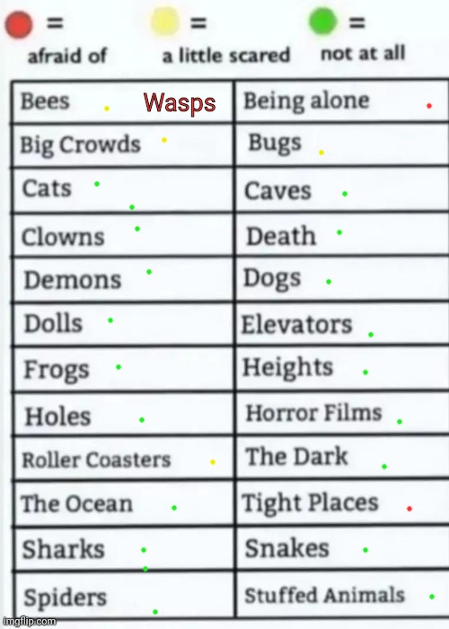 Things to be afraid of lol | Wasps | image tagged in things to be afraid of lol | made w/ Imgflip meme maker