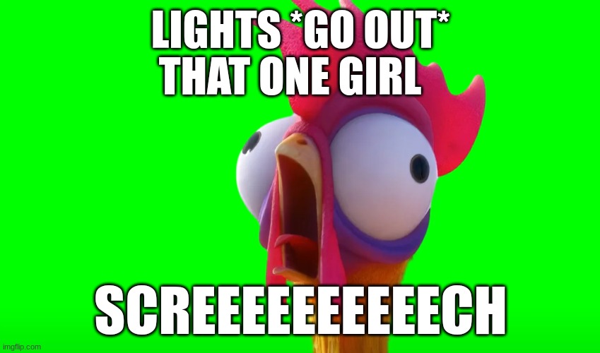 LIGHTS *GO OUT*; THAT ONE GIRL; SCREEEEEEEEEECH | image tagged in blank white template | made w/ Imgflip meme maker