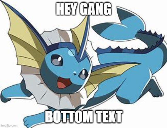 Hey gang | HEY GANG; BOTTOM TEXT | image tagged in hello,vaporeon,start of a server | made w/ Imgflip meme maker