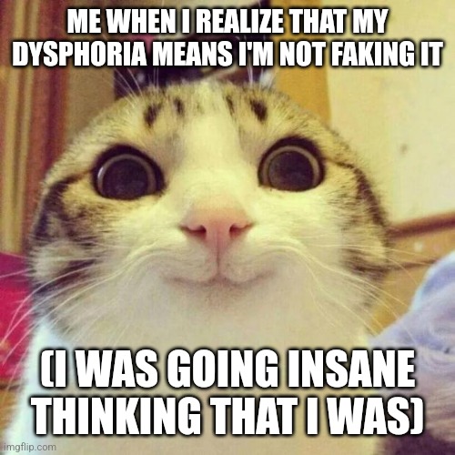 Smiling Cat | ME WHEN I REALIZE THAT MY DYSPHORIA MEANS I'M NOT FAKING IT; (I WAS GOING INSANE THINKING THAT I WAS) | image tagged in memes,smiling cat | made w/ Imgflip meme maker