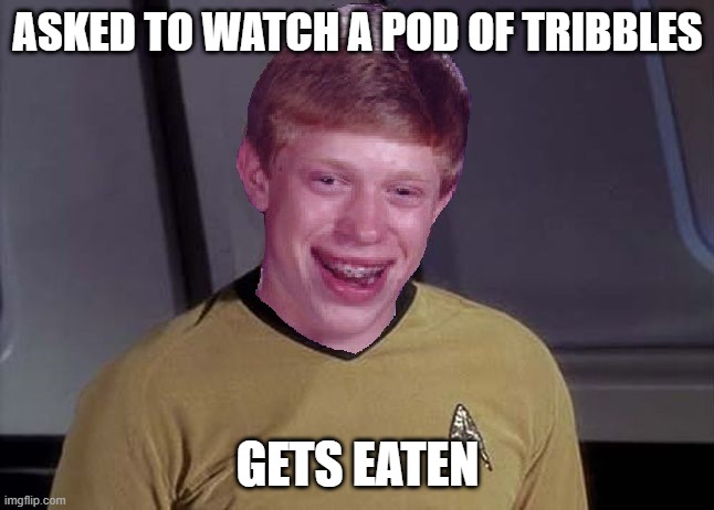 Tribble Food | ASKED TO WATCH A POD OF TRIBBLES; GETS EATEN | image tagged in star trek brian | made w/ Imgflip meme maker