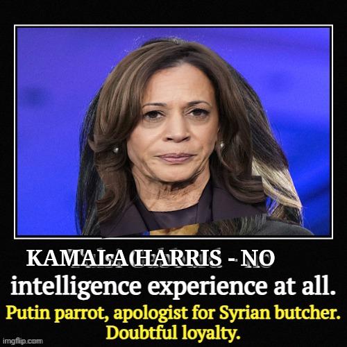 Yup, you got it | KAMALA HARRIS - NO | image tagged in leftists,liberals,tds,democrats | made w/ Imgflip meme maker