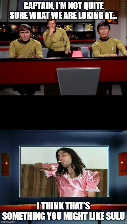 Trans-mission | CAPTAIN, I'M NOT QUITE SURE WHAT WE ARE LOKING AT... I THINK THAT'S SOMETHING YOU MIGHT LIKE SULU | image tagged in star trek on screen | made w/ Imgflip meme maker