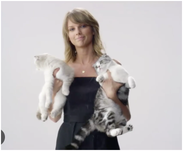 Taylor Swift Cats Acting Up Blank Meme Template