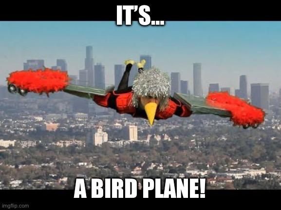 IT’S… A BIRD PLANE! | made w/ Imgflip meme maker