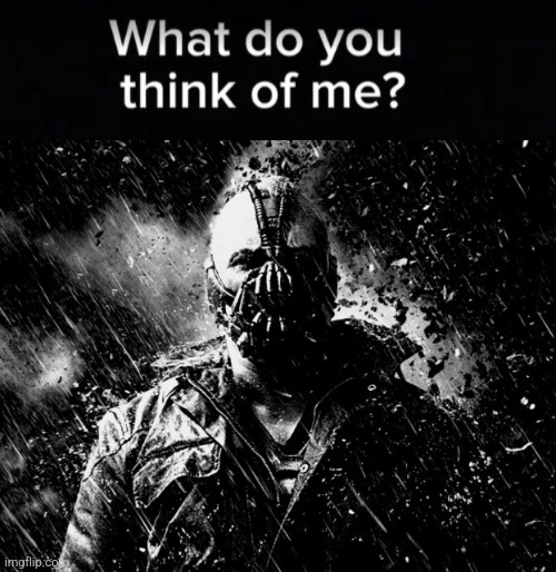 What do you think of me | image tagged in what do you think of me | made w/ Imgflip meme maker