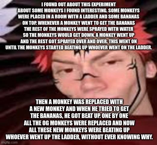 "Not reading allat fr" okay bro? | I FOUND OUT ABOUT THIS EXPERIMENT ABOUT SOME MONKEYS I FOUND INTERESTING. SOME MONKEYS WERE PLACED IN A ROOM WITH A LADDER AND SOME BANANAS ON TOP. WHENEVER A MONKEY WENT TO GET THE BANANAS THE REST OF THE MONKEYS WERE SPRAYED WITH WATER SO THE MONKEYS WOULD GET DOWN. A MONKEY WENT UP AND THE REST GOT SPRAYED OVER AND OVER. THIS WENT ON UNTIL THE MONKEYS STARTED BEATING UP WHOEVER WENT ON THE LADDER. THEN A MONKEY WAS REPLACED WITH A NEW MONKEY AND WHEN HE TRIED TO GET THE BANANAS, HE GOT BEAT UP. ONE BY ONE ALL THE OG MONKEYS WERE REPLACED AND NOW ALL THESE NEW MONKEYS WERE BEATING UP WHOEVER WENT UP THE LADDER, WITHOUT EVER KNOWING WHY. | image tagged in yes | made w/ Imgflip meme maker