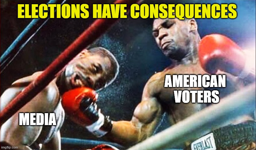 2024 Election Results | ELECTIONS HAVE CONSEQUENCES; AMERICAN 
VOTERS; MEDIA | image tagged in tyson punch,democrats,liberals,leftists,woke,2024 election | made w/ Imgflip meme maker