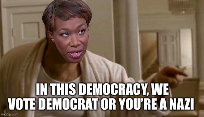 Joy | IN THIS DEMOCRACY, WE VOTE DEMOCRAT OR YOU’RE A NAZI | image tagged in tony soprano in this house,msnbc,democrats,election | made w/ Imgflip meme maker