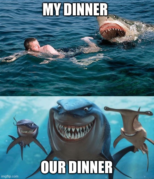 MY DINNER OUR DINNER | image tagged in swimming with sharks,finding nemo sharks | made w/ Imgflip meme maker