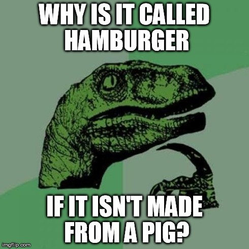 Philosoraptor Meme | WHY IS IT CALLED HAMBURGER IF IT ISN'T MADE FROM A PIG? | image tagged in memes,philosoraptor | made w/ Imgflip meme maker
