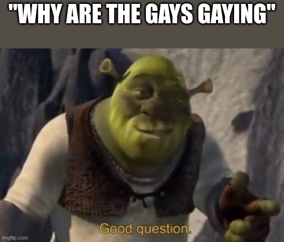 Shrek good question | "WHY ARE THE GAYS GAYING" | image tagged in shrek good question | made w/ Imgflip meme maker