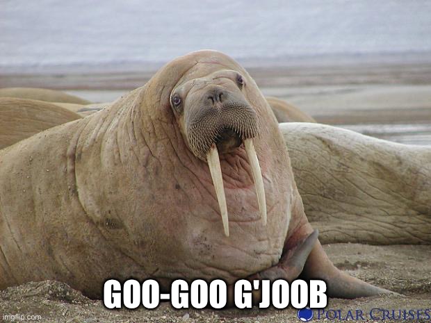 Walrus | GOO-GOO G'JOOB | image tagged in walrus | made w/ Imgflip meme maker