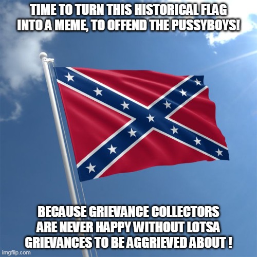 Trigger Warning: It's...it's the REEEEEEEEEEEEEE flag! | TIME TO TURN THIS HISTORICAL FLAG INTO A MEME, TO OFFEND THE PUSSYBOYS! BECAUSE GRIEVANCE COLLECTORS ARE NEVER HAPPY WITHOUT LOTSA GRIEVANCES TO BE AGGRIEVED ABOUT ! | image tagged in stars and bars,leftist-libtards | made w/ Imgflip meme maker