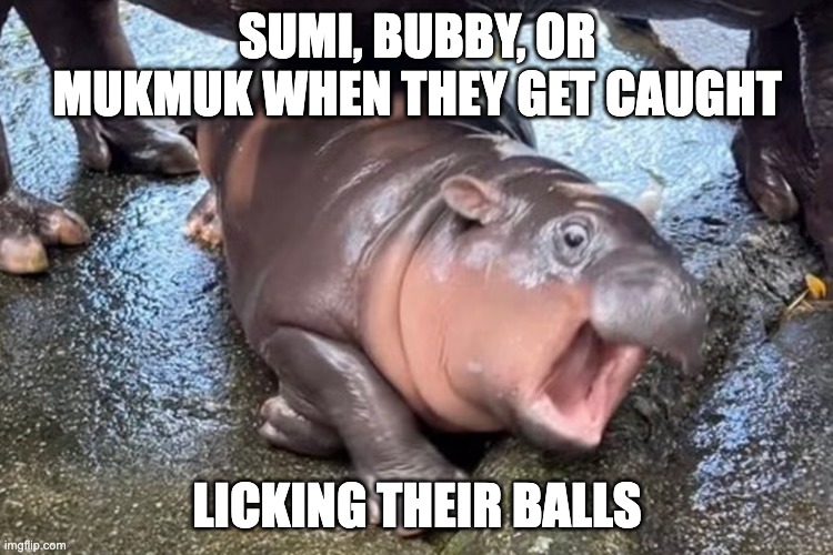 sorry this is canon... | SUMI, BUBBY, OR MUKMUK WHEN THEY GET CAUGHT; LICKING THEIR BALLS | image tagged in memes,sumi,bubby,mukmuk,fanlore,smg4 | made w/ Imgflip meme maker