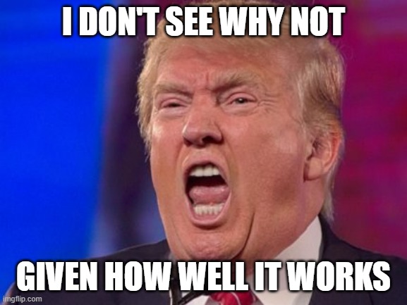 Angry Trump | I DON'T SEE WHY NOT GIVEN HOW WELL IT WORKS | image tagged in angry trump | made w/ Imgflip meme maker