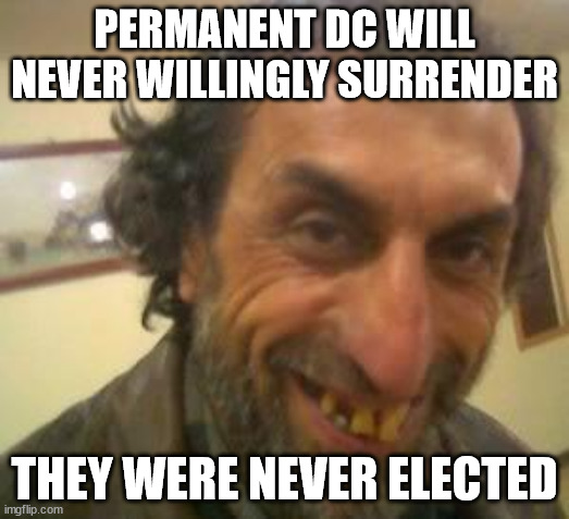 UGLY IS AS UGLY DOES | PERMANENT DC WILL NEVER WILLINGLY SURRENDER; THEY WERE NEVER ELECTED | image tagged in ugly guy,dc,tyranny,constitution | made w/ Imgflip meme maker