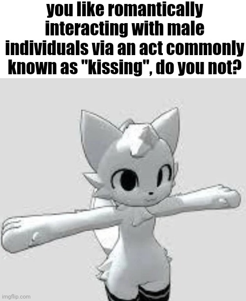 do you not? | you like romantically interacting with male individuals via an act commonly known as "kissing", do you not? | image tagged in boykisser | made w/ Imgflip meme maker