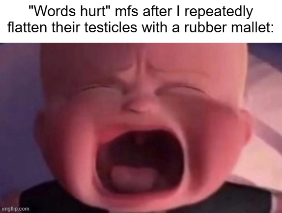 Tell me more about how being insulted hurts more than having your nuts smashed. | "Words hurt" mfs after I repeatedly flatten their testicles with a rubber mallet: | image tagged in boss baby crying,words hurt,boo frickity hoo | made w/ Imgflip meme maker