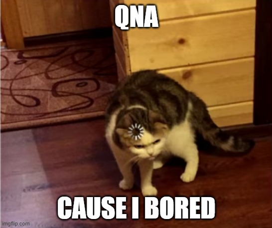 :] | QNA; CAUSE I BORED | image tagged in loading cat hd | made w/ Imgflip meme maker