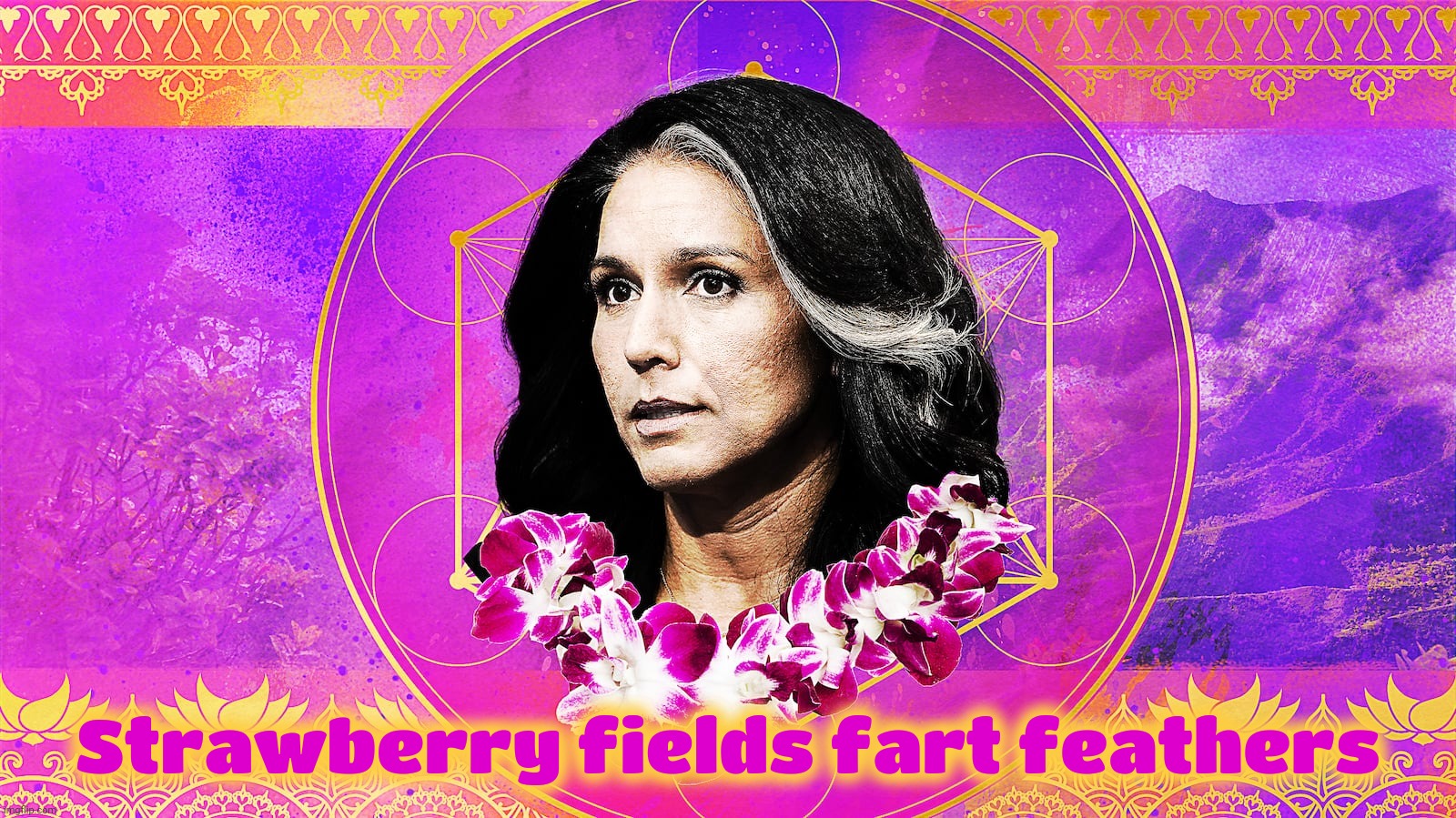 Tulsi Gabbard, member of the Science of Identity Foundation cult. Not just Cult 45. That explains it some,,, | Strawberry fields fart feathers | image tagged in tulsi gabbard,science of identity foundation,director of national intelligence,or perhaps not,director that is,or intelligence | made w/ Imgflip meme maker