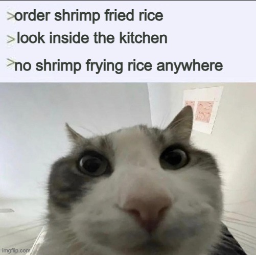 Cat looks inside | order shrimp fried rice; look inside the kitchen; no shrimp frying rice anywhere | image tagged in cat looks inside | made w/ Imgflip meme maker