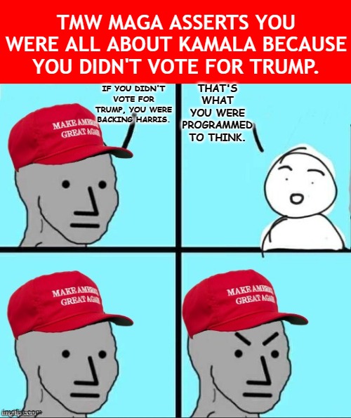 Feel like I'm talking to bricks some of the time. | TMW MAGA ASSERTS YOU WERE ALL ABOUT KAMALA BECAUSE YOU DIDN'T VOTE FOR TRUMP. THAT'S WHAT YOU WERE PROGRAMMED TO THINK. IF YOU DIDN'T VOTE FOR TRUMP, YOU WERE BACKING HARRIS. | image tagged in maga npc an an0nym0us template,maga,conservative,tribalism,zero sum,all or nothing | made w/ Imgflip meme maker