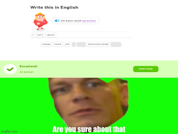 Are you sure about that | image tagged in duolingo,are you sure about that | made w/ Imgflip meme maker