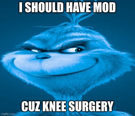 Blue Grinch | I SHOULD HAVE MOD; CUZ KNEE SURGERY | image tagged in blue grinch | made w/ Imgflip meme maker