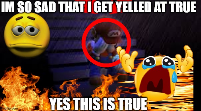 i love being depressed | IM SO SAD THAT I GET YELLED AT TRUE; YES THIS IS TRUE | image tagged in sad mario | made w/ Imgflip meme maker