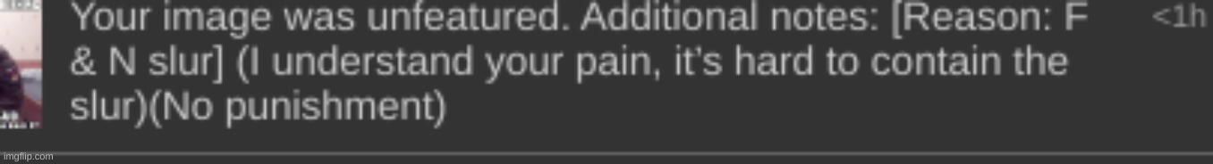 mods, how else could I have posted those slurs while blurring them? | made w/ Imgflip meme maker