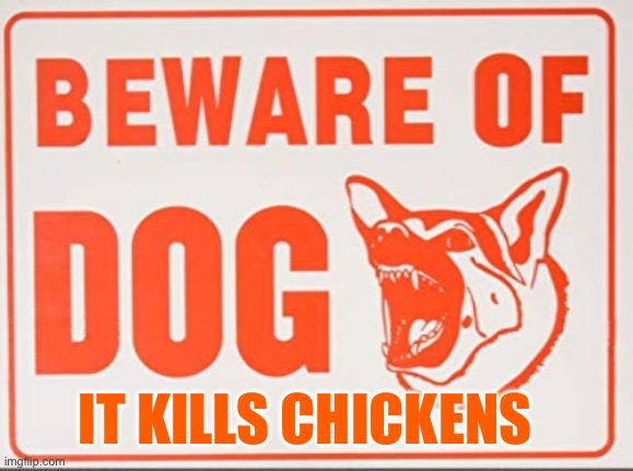 Beware of dog sign | IT KILLS CHICKENS | image tagged in beware of dog sign | made w/ Imgflip meme maker