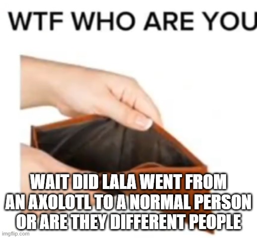 WTF WHO ARE YOU | WAIT DID LALA WENT FROM AN AXOLOTL TO A NORMAL PERSON OR ARE THEY DIFFERENT PEOPLE | image tagged in wtf who are you | made w/ Imgflip meme maker