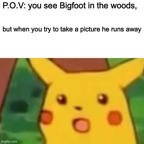 Surprised Pikachu | P.O.V: you see Bigfoot in the woods, but when you try to take a picture he runs away | image tagged in memes,surprised pikachu | made w/ Imgflip meme maker